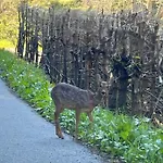 Apartment V9 Large 7 People *