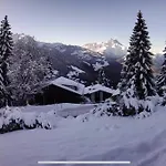 V9 Large 7 People * Gryon