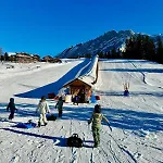 V9 Large 7 People Apartment Gryon