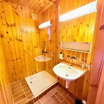V9 Large 7 People Appartement Gryon