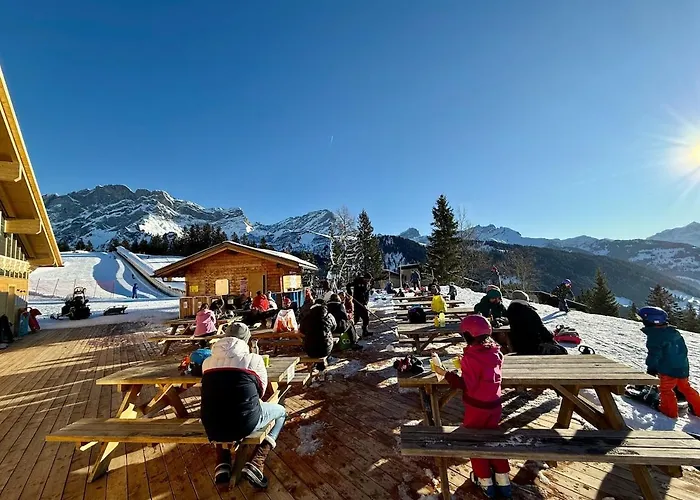 V9 Large 7 People * Gryon