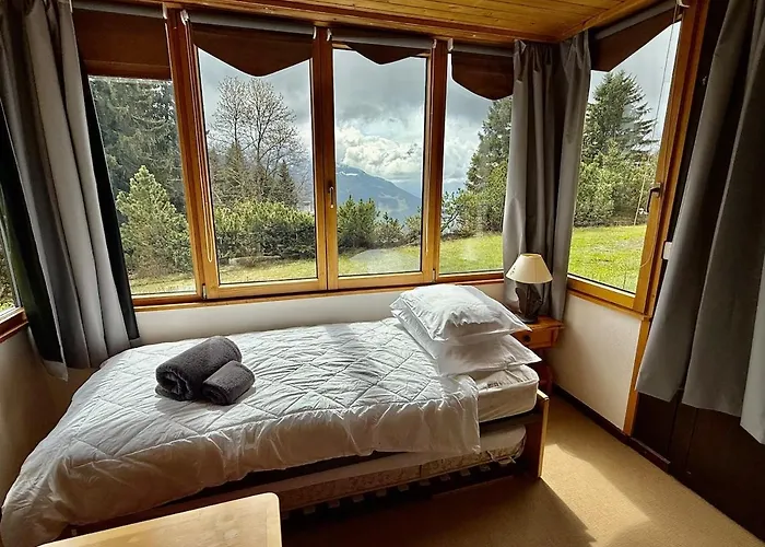 V9 Large 7 People Apartamento Gryon