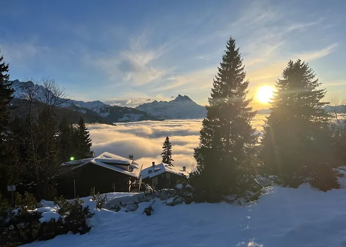 V9 Large 7 People * Gryon