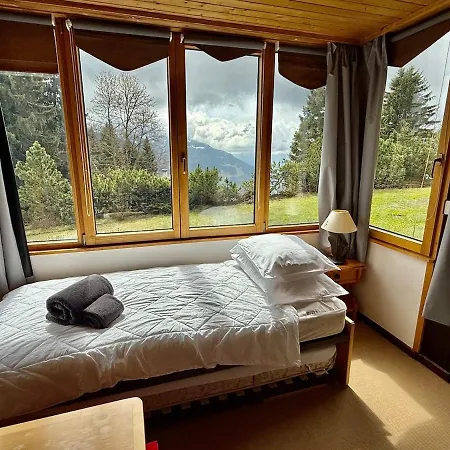 V9 Large 7 People Apartamento Gryon