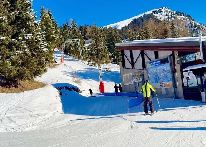 V9 Large 7 People Apartamento Gryon