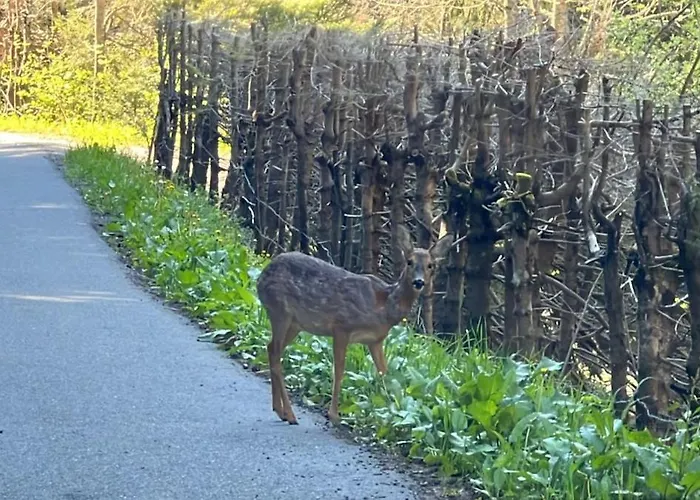 Apartamento V9 Large 7 People *