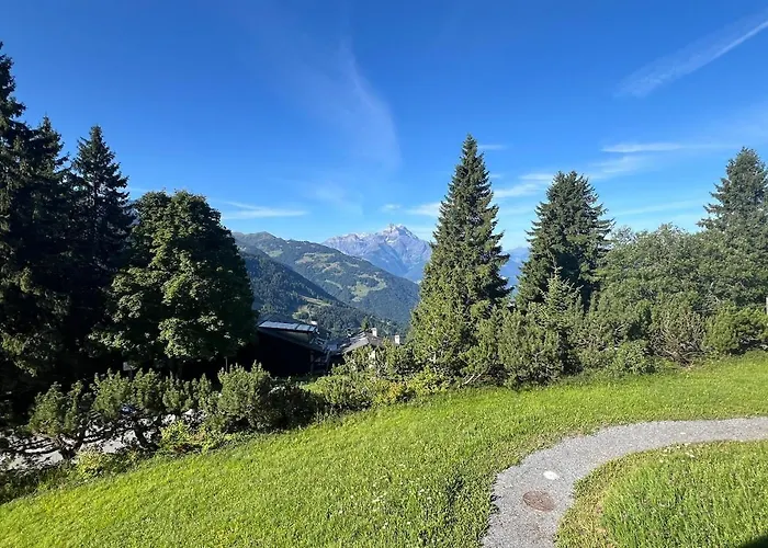 Apartamento V9 Large 7 People Gryon