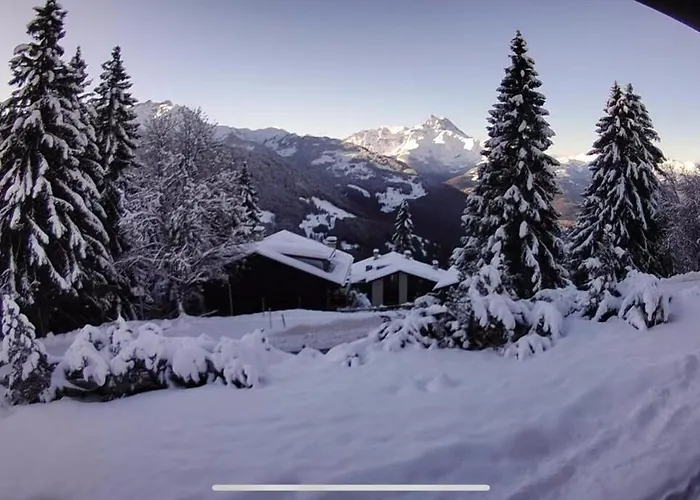 V9 Large 7 People * Gryon