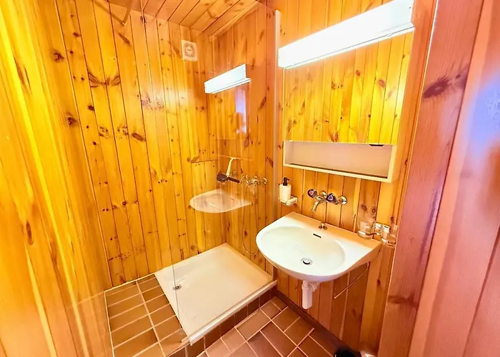 V9 Large 7 People Apartamento Gryon